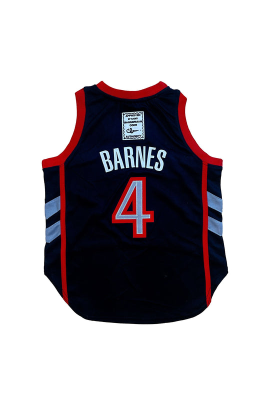 Pawonto Scottie Barnes Jersey