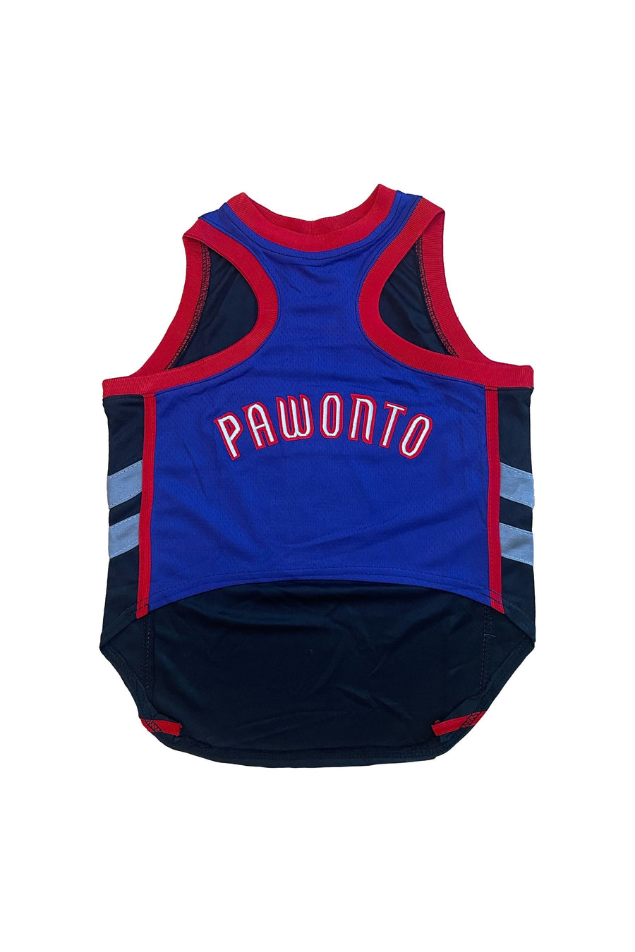 Pawonto Scottie Barnes Jersey