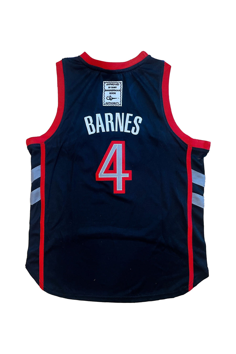 Pawonto Scottie Barnes Jersey