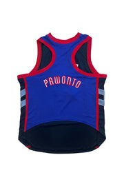 Pawonto Scottie Barnes Jersey