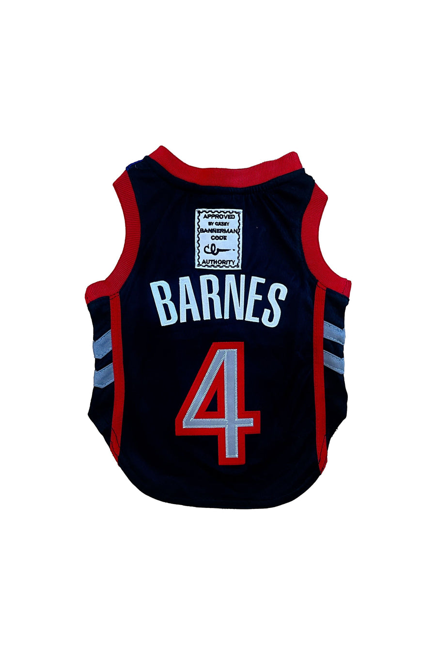 Pawonto Scottie Barnes Jersey