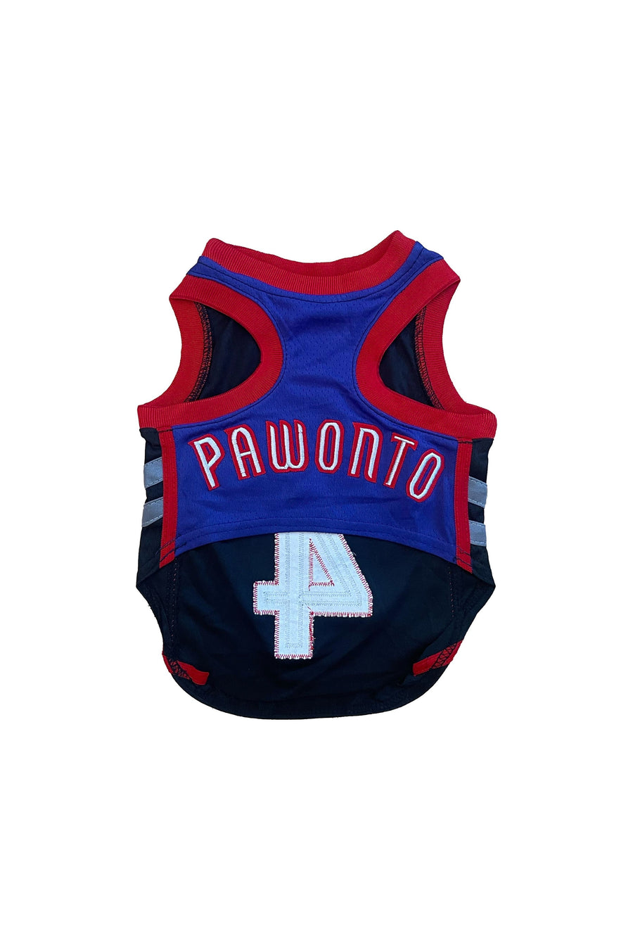 Pawonto Scottie Barnes Jersey